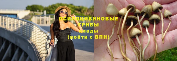 бутират Елабуга