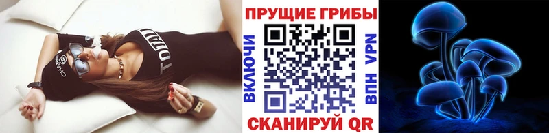 Галлюциногенные грибы Psilocybine cubensis Купить закладки Оленегорск